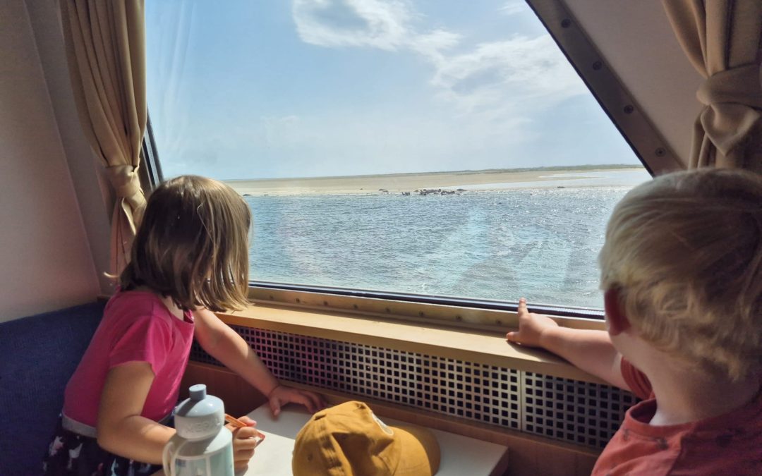 Ausflugsfahrt zu den Seehundsbänken